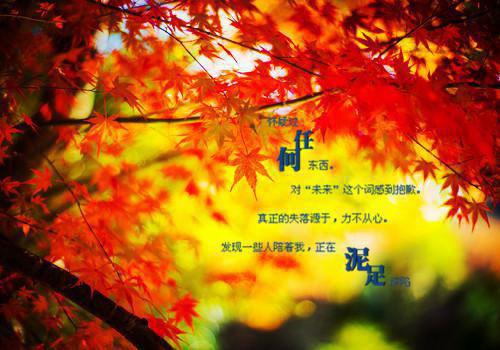 全章节小说摊牌了，京圈权臣都是我的学生！主角为安歆阅读