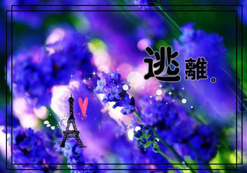身如不系之舟许远萧怡彩蛋(许远萧怡)无删减在线下载在线+完美终章结局身如不系之舟txt：结局+番外（许远萧怡）全文免费阅读无弹窗大结局_身如不系之舟txt：结局+番外最新章节列表（许远萧怡）