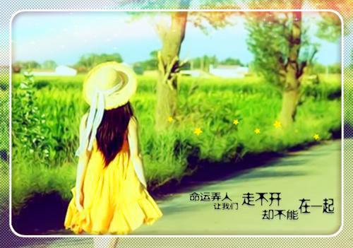 完结版小说沈繁音齐修霖第2章阅读