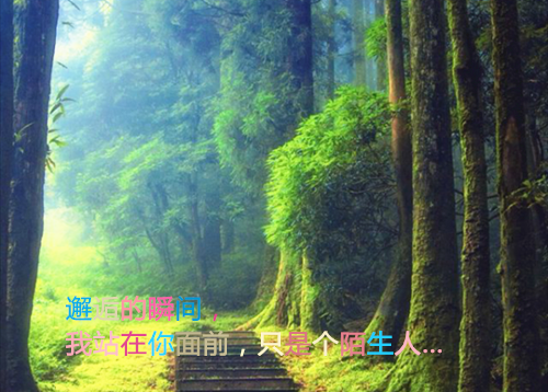 抖音新书热荐花迟福宝小说奶奶玥玥 小说花迟福宝小说奶奶玥玥全文完整版免费奶奶玥玥读