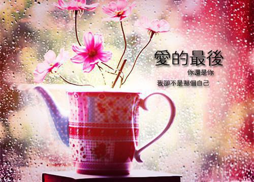 (番外)+(全文)八零军医改嫁后，糙汉营长悔疯了：全文+后续+结局（沈烈林素清）全文免费阅读无弹窗大结局_八零军医改嫁后，糙汉营长悔疯了：全文+后续+结局最新章节列表（沈烈林素清）