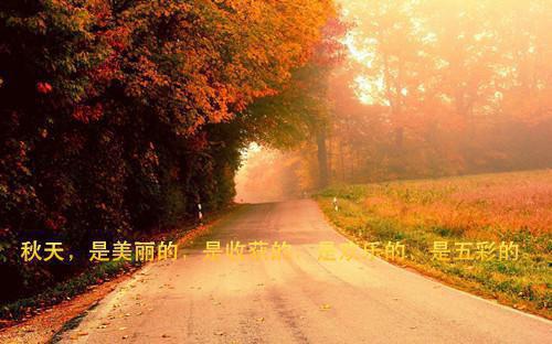 姜知夏沈聿安：结局+番外(姜知夏沈聿安)全文免费阅读无弹窗大结局_(姜知夏沈聿安：结局+番外)最新章节列表(姜知夏沈聿安)