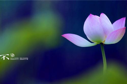 军训尿裤子被嘲后我偷偷把室友的命格和狗绑定了:结局+番外(顾思然黄瑛)全文浏览_军训尿裤子被嘲后我偷偷把室友的命格和狗绑定了:结局+番外全文浏览