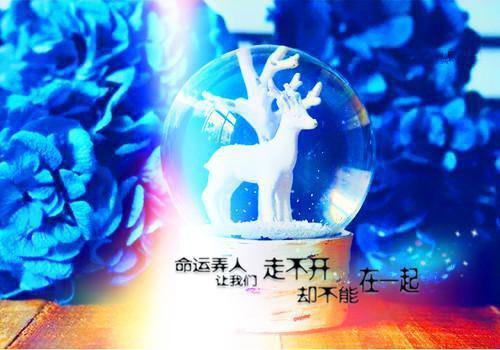 火爆小说姬南絮厉璟之免费阅读