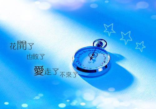 宋迟迟司慕寒小说全文免费阅读_宋迟迟司慕寒阅读