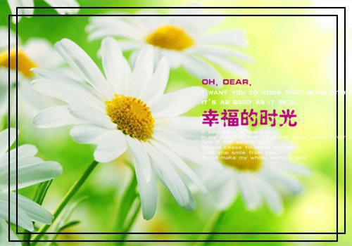 佟小卿墨渊（佟小卿墨渊）全文免费阅读无弹窗大结局_（佟小卿墨渊）佟小卿墨渊最新章节列表（佟小卿墨渊）