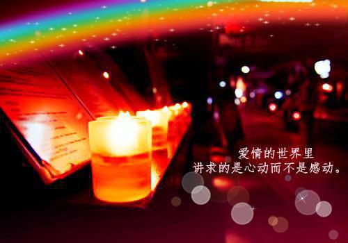 (番外)+(全文)黎落霍司野（我听闻你始终一个人：全文+结局+番外）全文免费阅读无弹窗大结局_(黎落霍司野)最新章节列表（我听闻你始终一个人：全文+结局+番外）