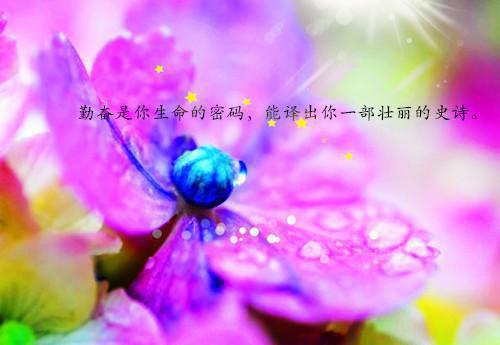 无言安安在线陈海读无弹窗最新章节列表(陈海)