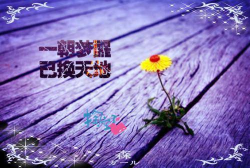 不属于海的风宝藏文(唐栖雾靳沉野)全文免费阅读_不属于海的风宝藏文(唐栖雾靳沉野)最新章节列表不属于海的风宝藏文