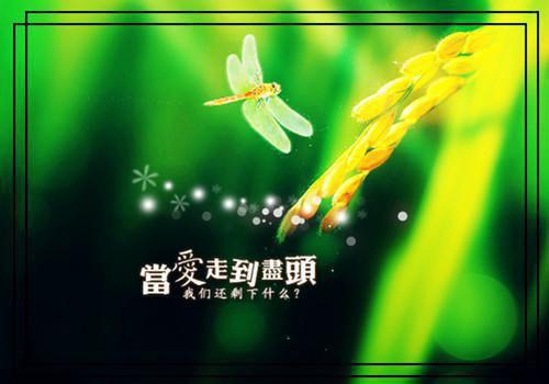和离后她名冠京城夫家悔哭了免费阅读大结局 精彩章节2不容错过