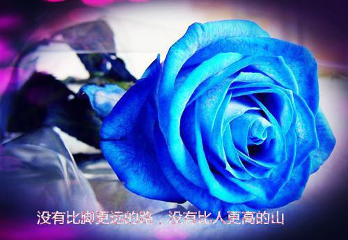 徐明雨张怀宁全文免费阅读（碎银侦探）全文免费徐明雨张怀宁读无弹窗大结局_（碎银侦探徐明雨张怀宁）碎银侦探最新章节列表（徐明雨张怀宁）