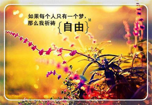 《逢春》林姝含以霈苍南全本免费阅读第2章