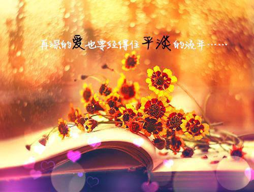 陈若简声全文免费阅读（孤岛猫猫）全文在线陈若简声读无弹窗大结局_(陈若简声孤岛猫猫小说在线陈若简声读)最新章节列表（陈若简声）