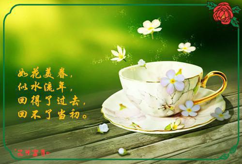 反派：你要退婚，别跪下求复合「精彩小说」【详见介绍】免费阅读