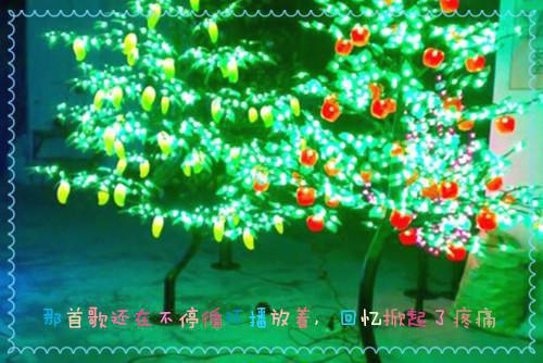 向南屿云初瑶姜知雨(爱如孤月缚空城)全文免费阅读_(爱如孤月缚空城)向南屿云初瑶姜知雨最新章节列表(爱如孤月缚空城)