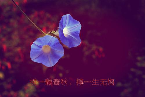 人气小说狂拽医妃，讹了个战神当夫君赫连君泽沈南星免费试读
