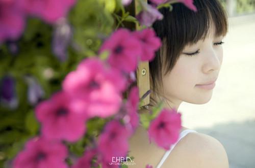流年落尽空白首：结局+番外（向婉宁顾辞）终章阅读全文无删减_流年落尽空白首：结局+番外全文免费阅读无弹窗大结局（向婉宁顾辞）