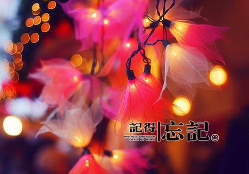 爱随时间散：结局+番外（林鹿程屿森）完结阅读无弹窗大结局_(爱随时间散：结局+番外)最新章节列表（林鹿程屿森）