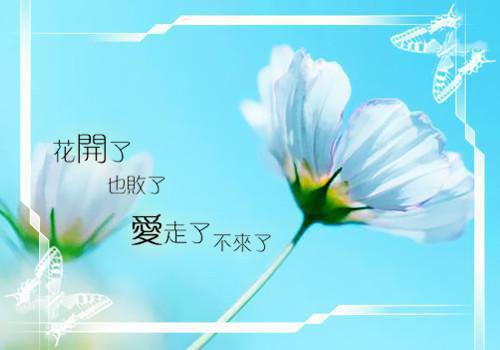 念念听夏顾北辰沈听夏小说_念念听夏完结版阅读