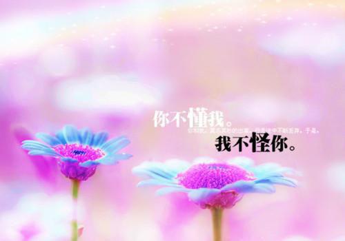 他在永夜长眠：+后续+结局爱恨纠葛全文阅读（苏娆时砚清）最新章节_他在永夜长眠：+后续+结局爱恨纠葛全文阅读