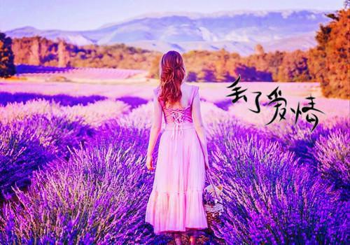 池语夏傅言洲小说小说免费阅读