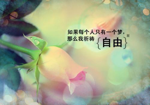 明鸢楚钟璟全文免费阅读(明鸢楚钟璟小说)全文免费阅读无弹窗大结局_(明鸢楚钟璟全文大结局)最新章节列表_（明鸢楚钟璟）