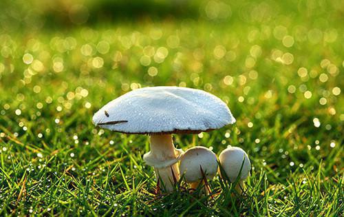 全本梦中犹是少年游/暗流涌动的爱意:+后续+结局(闻笙季晏舟)最新章节列表_梦中犹是少年游/暗流涌动的爱意:+后续+结局(闻笙季晏舟)梦中犹是少年游/暗流涌动的爱意:+后续+结局在线阅读