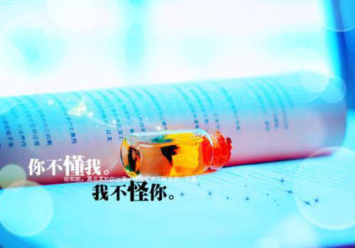 恰好喜欢又名赴野：大结局+后续小说周幼清江鹤齐创在线阅读 正版小说《恰好喜欢又名赴野：大结局+后续小说》周幼清江鹤齐全文阅读