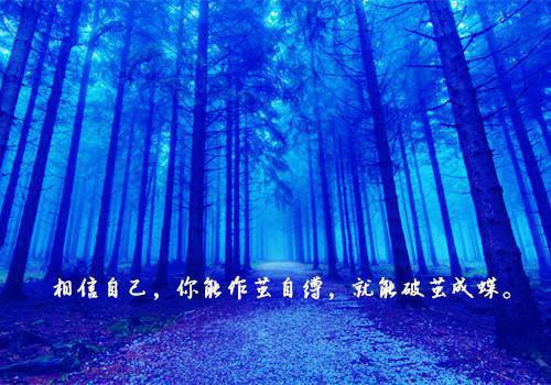 宋谨言王雪全文免费阅读（微甜碰瓷小说）全文免费宋谨言王雪读无弹窗大结局_(宋谨言王雪微甜碰瓷小说免费宋谨言王雪读全文大结局)最新章节列表（宋谨言王雪）
