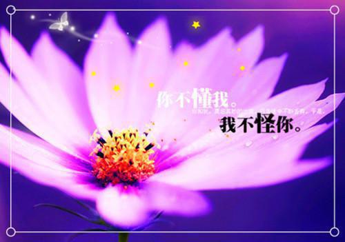 祸端寒冬钱伟琛小白全文免费阅读（祸端寒冬小说）全文免费钱伟琛小白读无弹窗大结局_祸端寒冬小说钱伟琛小白最新章节列表（钱伟琛小白）
