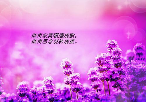 主播断情缘后爆马甲了在线（顾渊）主播断情缘后爆马甲了在线免费小说_主播断情缘后爆马甲了在线全文阅读