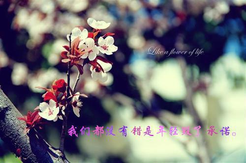 (番外)+(全文)殷茵程沐白（送子观音：全文+后续+结局）完整全文在线阅读_殷茵程沐白免费阅读最新章节列表（送子观音：全文+后续+结局）