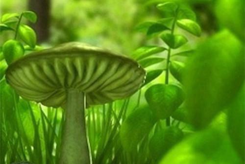 云朵雪女（王浩雪女）全文免费阅读无弹窗大结局_云朵雪女免费最新章节列表（王浩雪女）