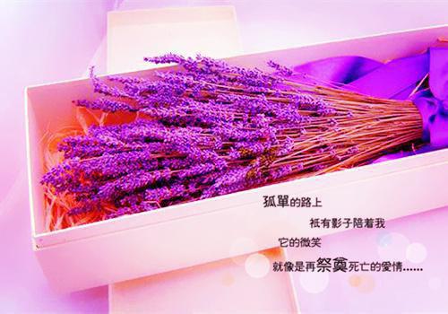 邱落凝鲁青煜全文邱落凝鲁青煜小说最新章节免费阅读