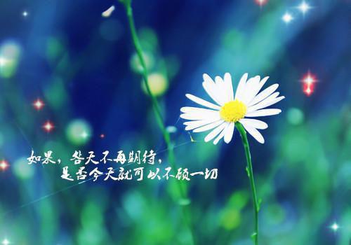 重生1999：我要青云直上txt在线赏析 唐正季青第6章免费阅读