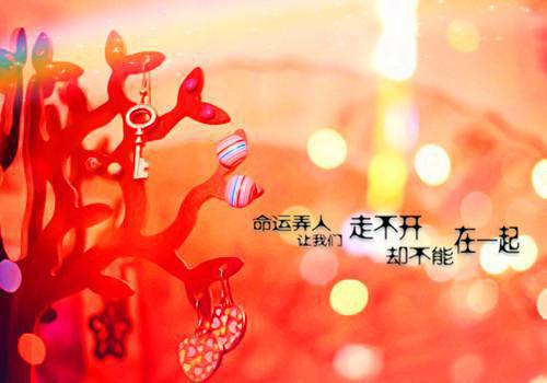 悲欢换蛋全文免费阅读(悲欢换蛋小说)全文免费腾蛇玉瑶读无弹窗大结局_ (腾蛇玉瑶)悲欢换蛋小说免费腾蛇玉瑶读无弹窗最新章节列表（悲欢换蛋小说）