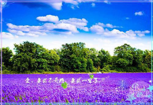 金河笑容小说全文免费阅读是金河笑容小说的小说（沈知知元瑾若）免费阅读_金河笑容小说沈知知元瑾若小说免费金河笑容小说（金河笑容小说）