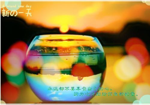 佚名的小说这波我选东北小公主免费阅读