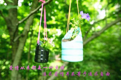 疏雨梧桐浅月朦胧：全文+后续+结局（周晓晚孟祈年）全文免费阅读无弹窗大结局_(疏雨梧桐浅月朦胧：全文+后续+结局)最新章节列表（周晓晚孟祈年）