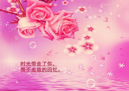小说重生后，把有血缘的陌生人扫地出门全章节免费阅读