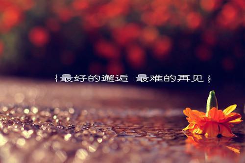 美女总裁的超级保镖全篇免费阅读无弹窗第0001章一月被抓三十次