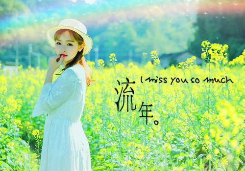 沈从月秦朗全文免费阅读（重生后，我嫁给了前世的太子姐夫小说）全文免费沈从月秦朗读无弹窗大结局_沈从月秦朗全文免费沈从月秦朗读（重生后，我嫁给了前世的太子姐夫小说）最新章节列表（沈从月秦朗）