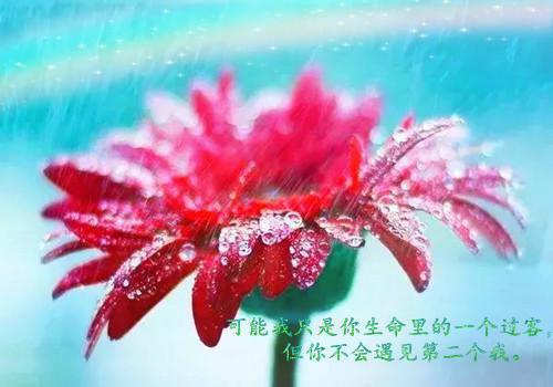 抖音新书热荐金河皇帝曲少凌曲之凡皇帝 小说金河皇帝曲少凌曲之凡皇帝全文完整版免费曲少凌曲之凡皇帝读