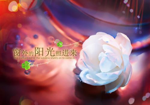 (番外)+(结局)我自踏歌行：结局+番外（沈知宴桑宁）完整全文在线阅读_(我自踏歌行：结局+番外)最新章节列表（沈知宴桑宁）