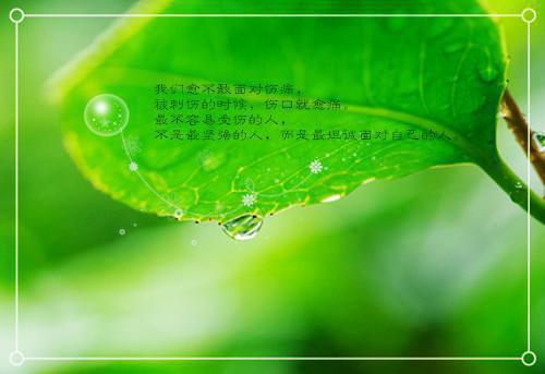 我吸血鬼吃光，始祖看了都摇头：全文+后续（余贤张寿）全文阅读无弹窗结局_(我吸血鬼吃光，始祖看了都摇头：全文+后续我吸血鬼吃光，始祖看了都摇头：全文+后续阅读全文结局)结局章节列表（余贤张寿）