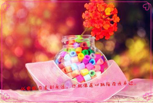青云证道全文免费阅读(青云证道小说)全文免费程临风扶摇读无弹窗大结局_ 青云证道小说免费程临风扶摇读最新章节列表（程临风扶摇）