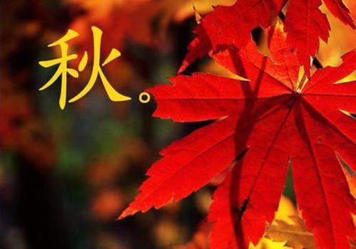 辣手借腹小说全文免费阅读(周凯文黄蕊)全文免费周凯文黄蕊读无弹窗大结局_云上(大梦小说免费周凯文黄蕊读)周凯文黄蕊免费周凯文黄蕊读无弹窗最新章节列表（周凯文黄蕊）