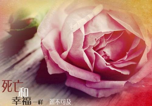 江慕星薄临全文小说免费_江慕星薄临精彩阅读