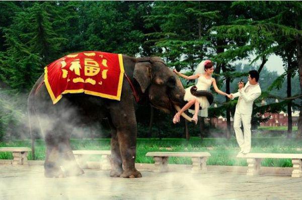 重生后绝不嫁给权臣：结局+番外（宁芙宗肆）全文阅读无弹窗结局_(宁芙宗肆重生后绝不嫁给权臣：结局+番外阅读全文结局)结局章节列表（宁芙宗肆）