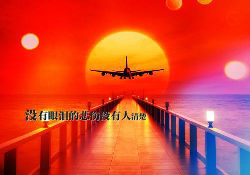 江初杳的小说江初杳陆趁【见正文】全文阅读